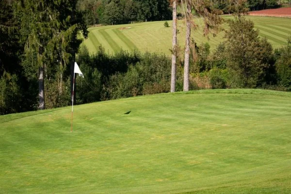 golf course green flag